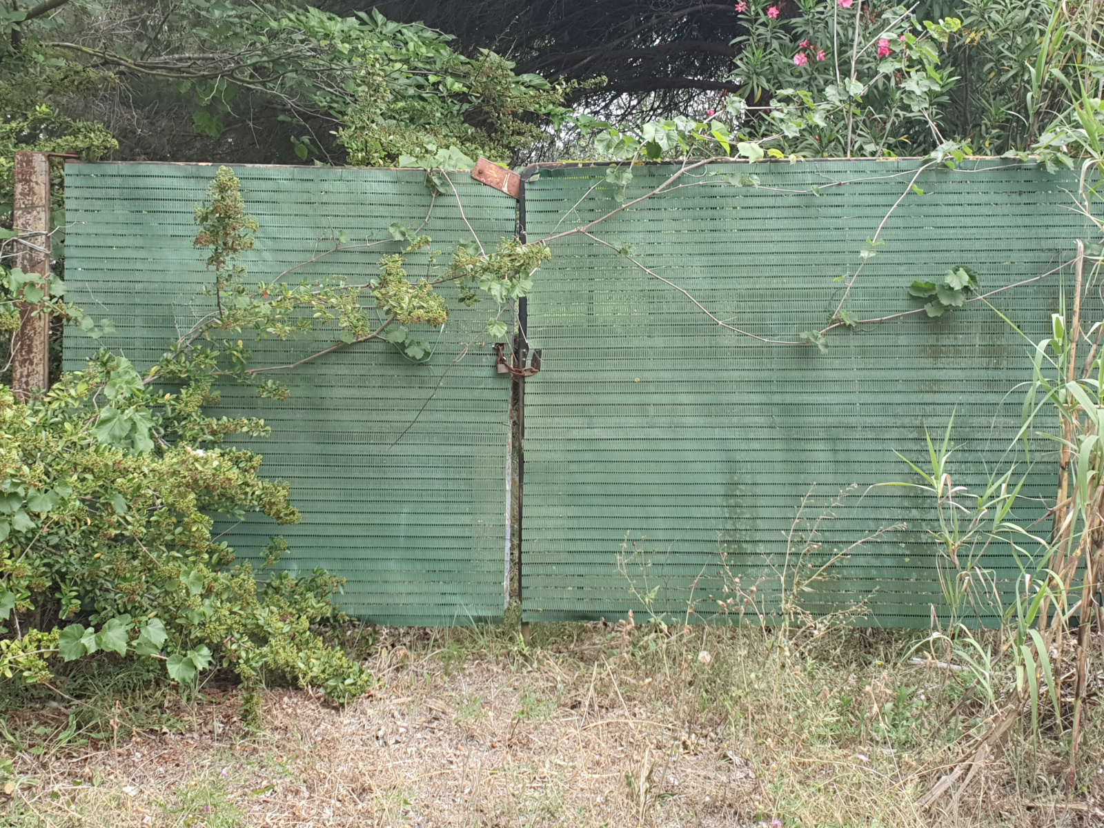 Image_, Terrain de loisir, Vias, ref :5595