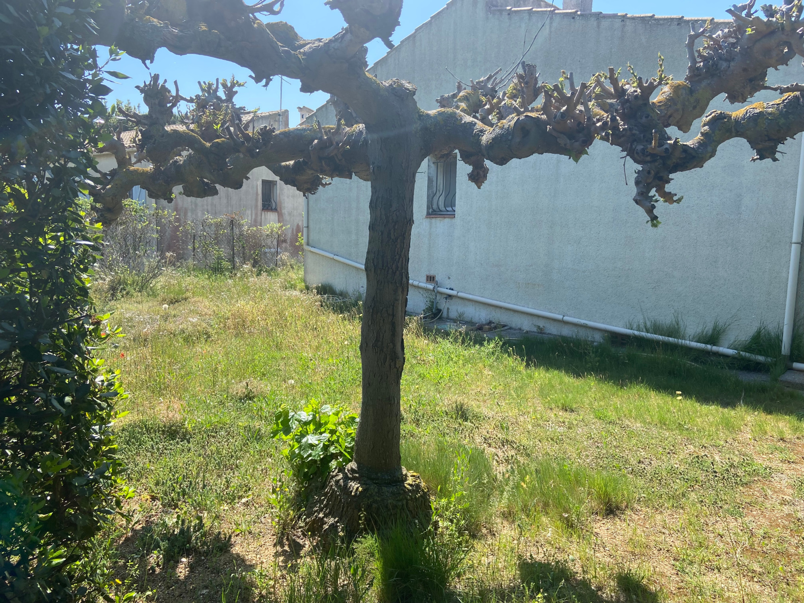 Image_, Maison / Villa, Vias, ref :5718