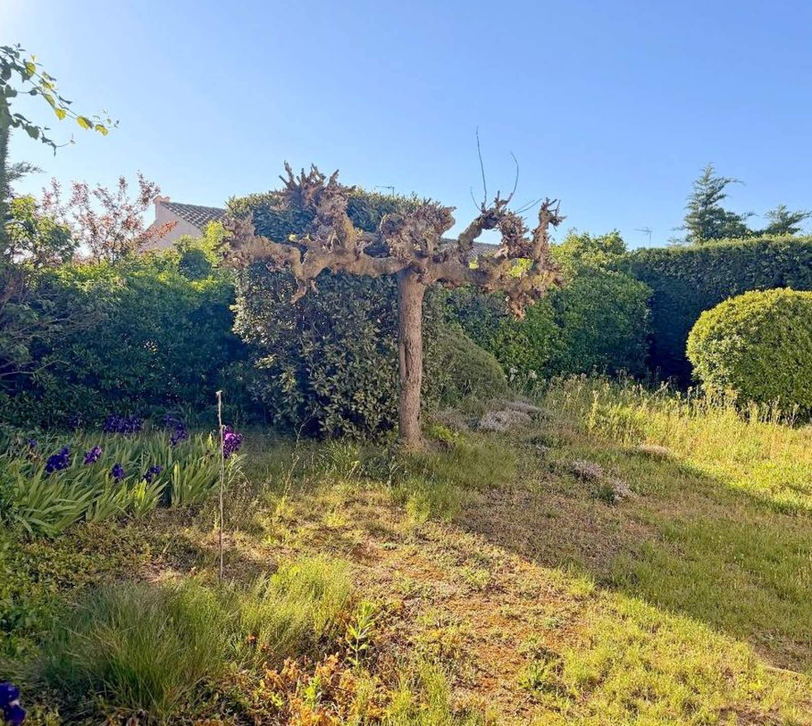 Image_, Maison / Villa, Vias, ref :RECH XM 04