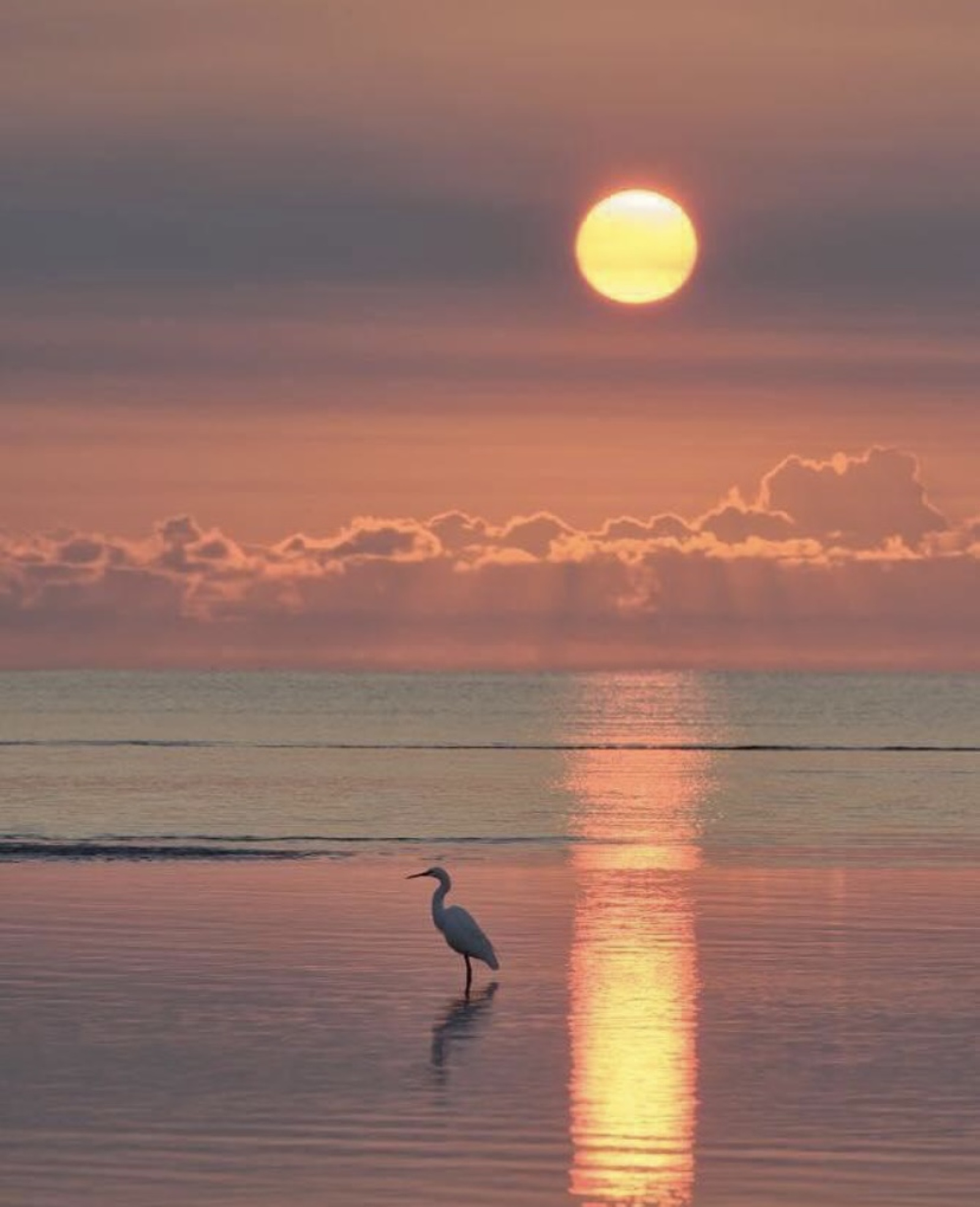 Image_, Maison / Villa, Bessan, ref :V0840