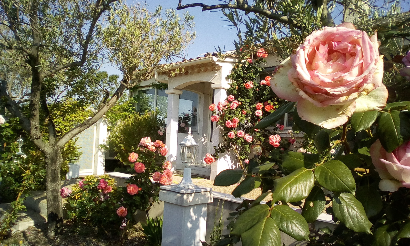 Image_, Maison / Villa, Bessan, ref :V0840