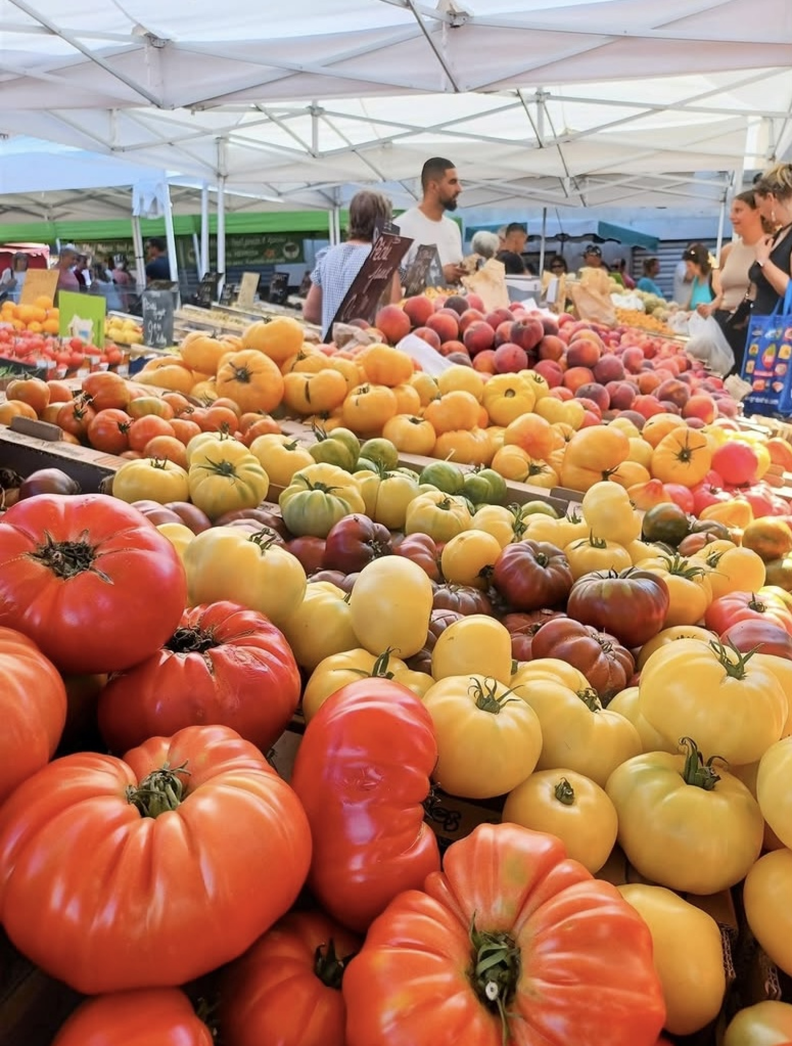 Image_, Maison / Villa, Bessan, ref :V0840