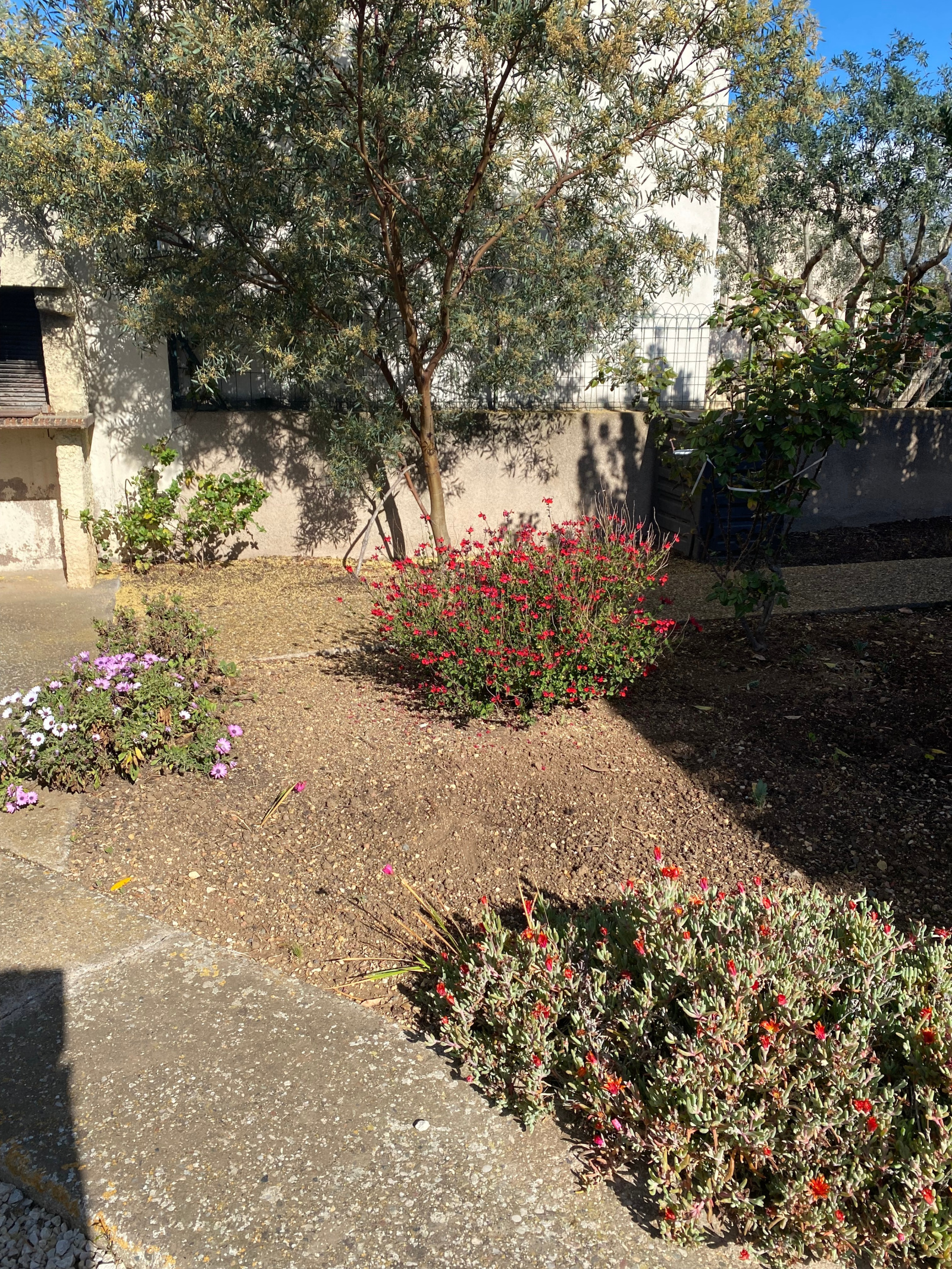 Image_, Maison / Villa, Vias, ref :5102