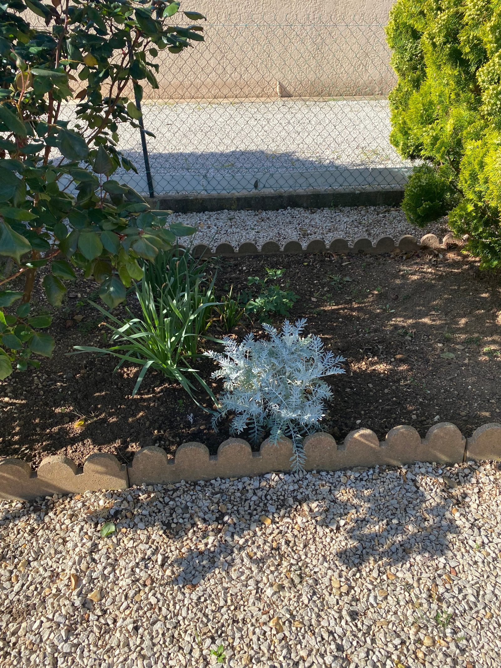 Image_, Maison / Villa, Vias, ref :5102