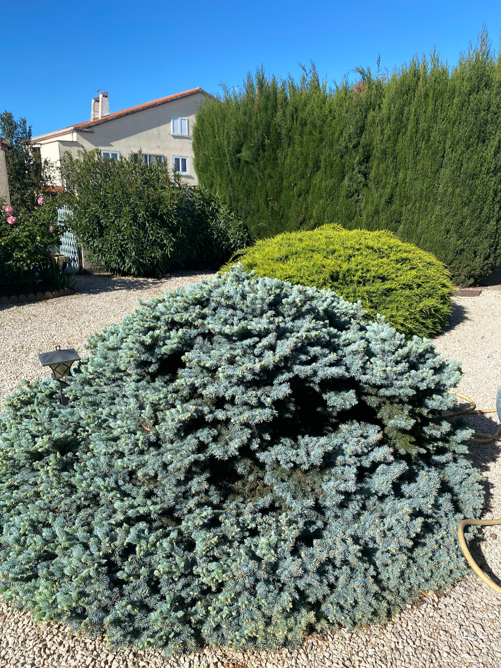 Image_, Maison / Villa, Vias, ref :5102