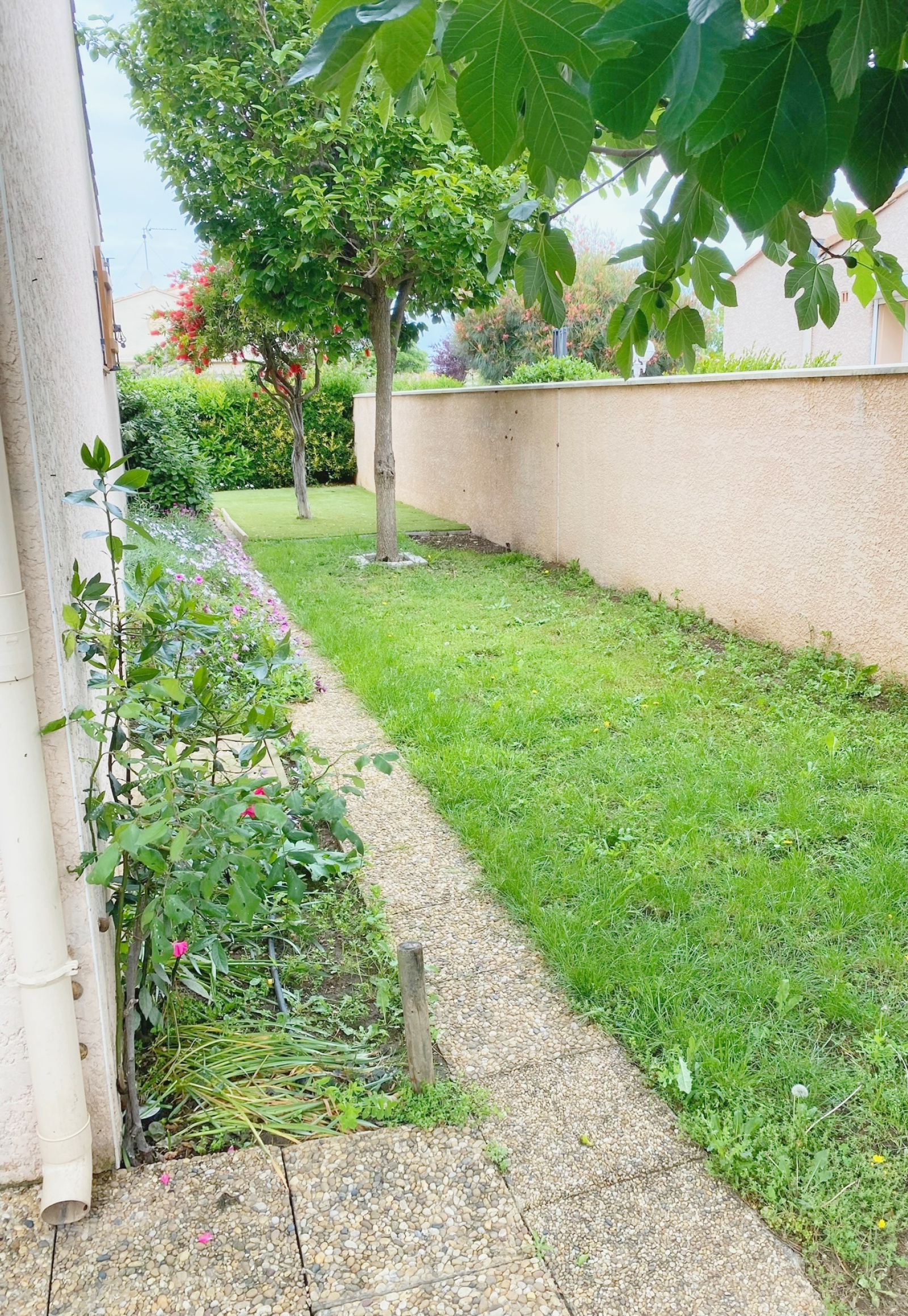 Image_, Maison / Villa, Vias, ref :5666