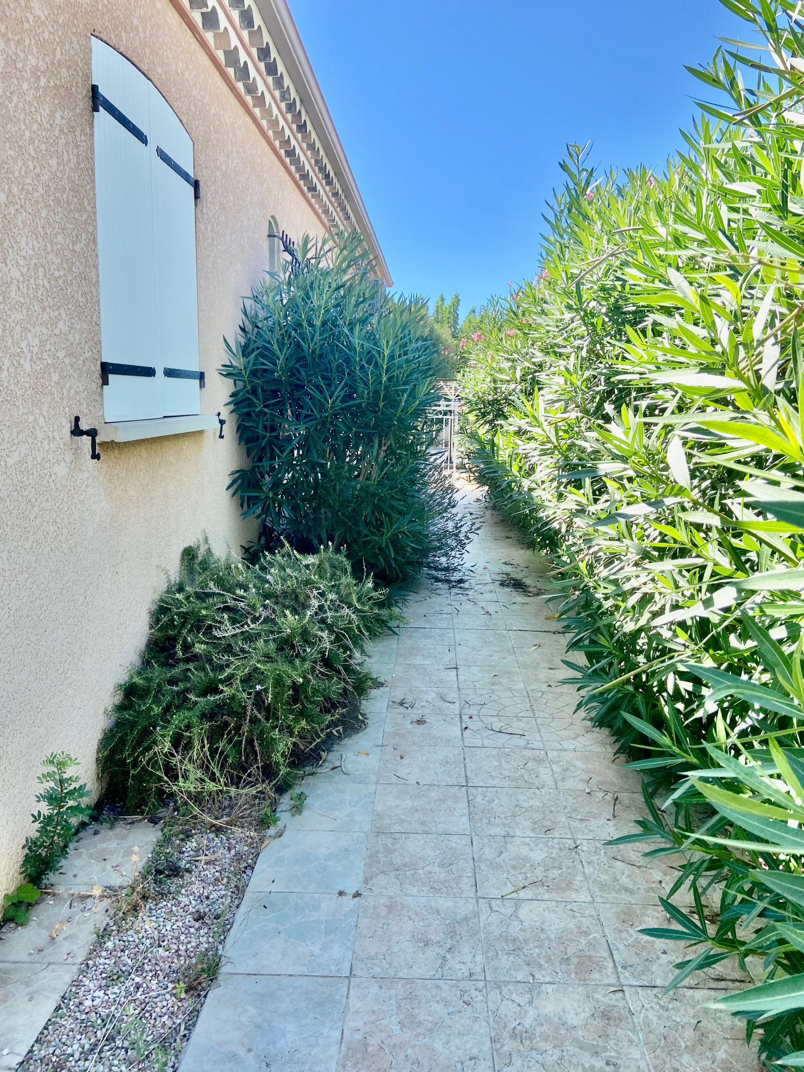 Image_, Maison / Villa, Vias, ref :5682
