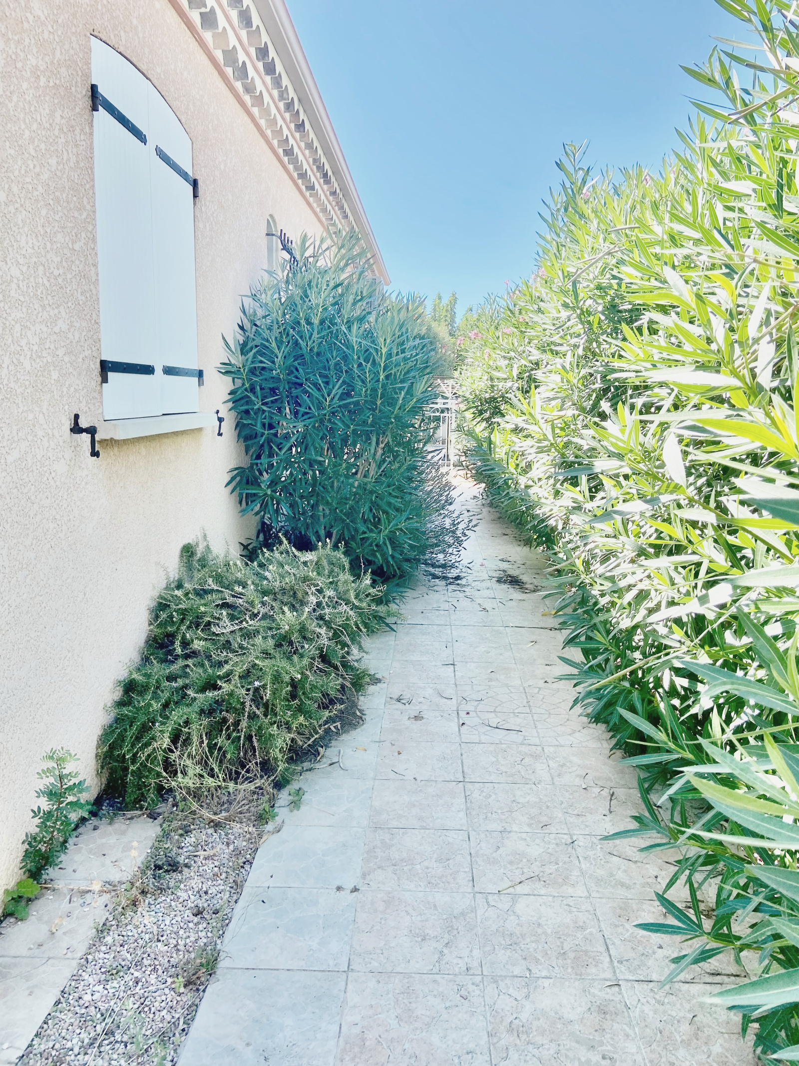 Image_, Maison / Villa, Vias, ref :5682