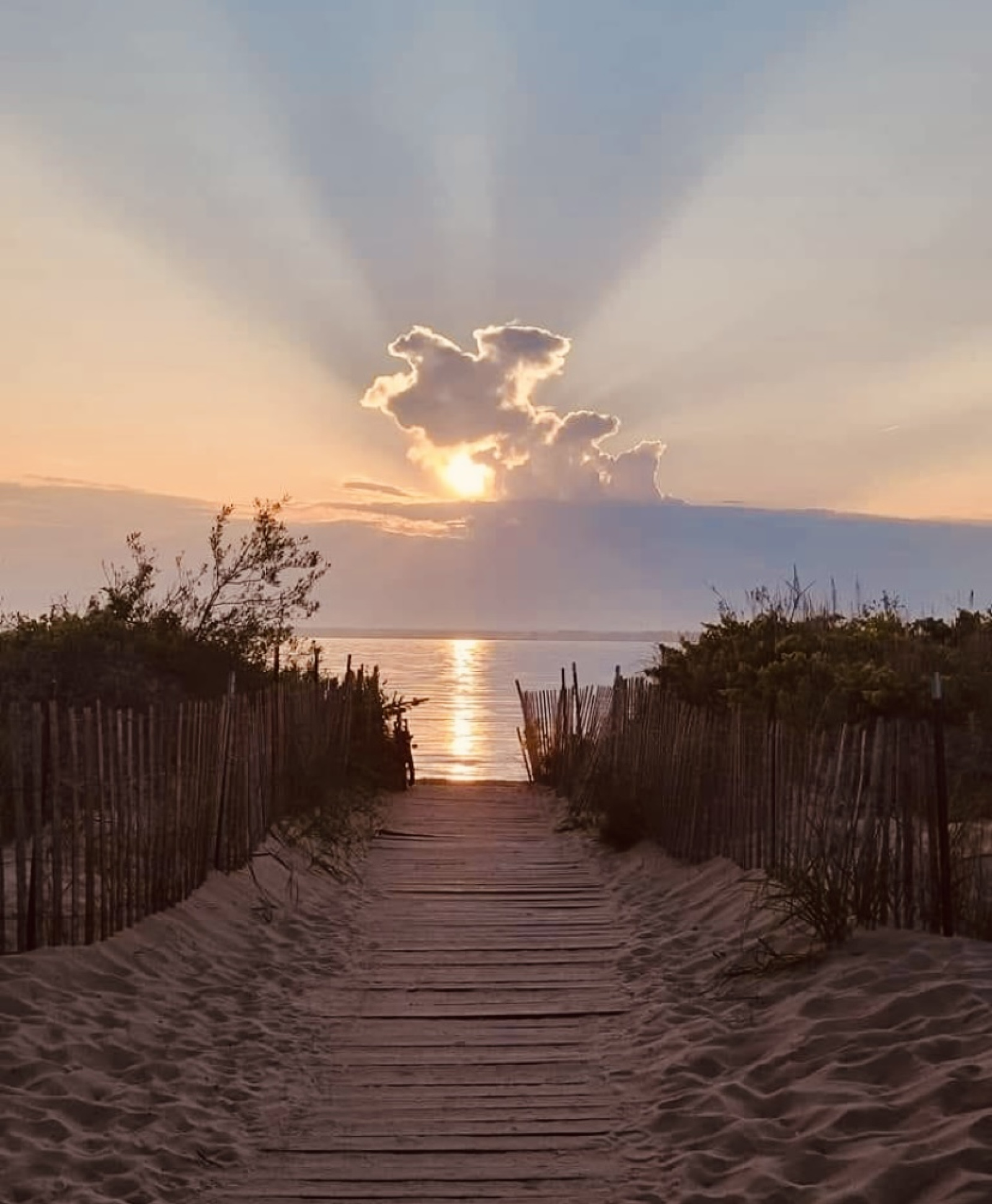 Image_, Maison de village, Vias, ref :V0549