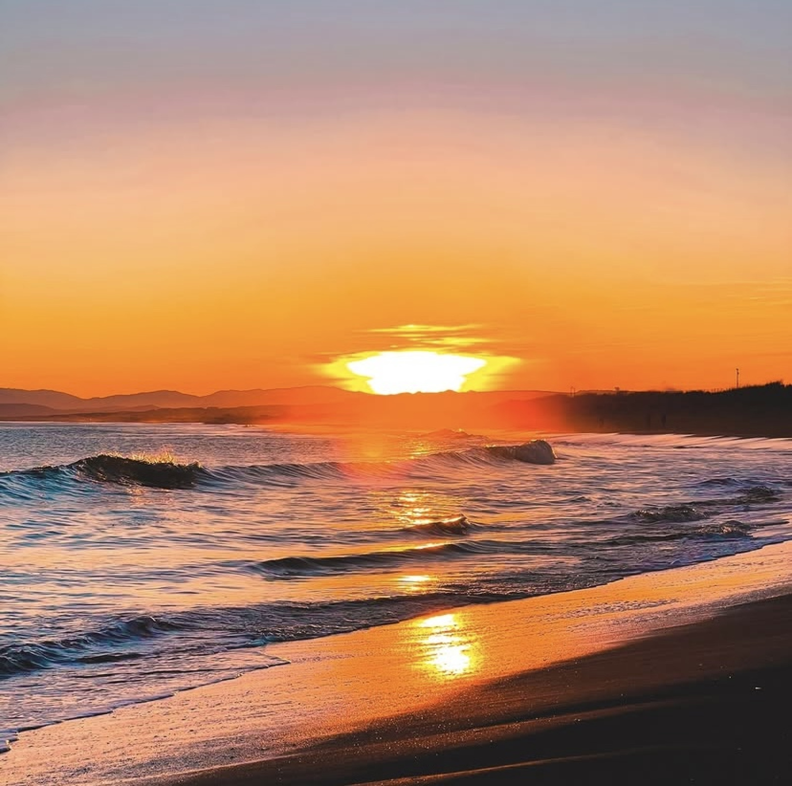 Image_, Appartement, Vias, ref :V0867