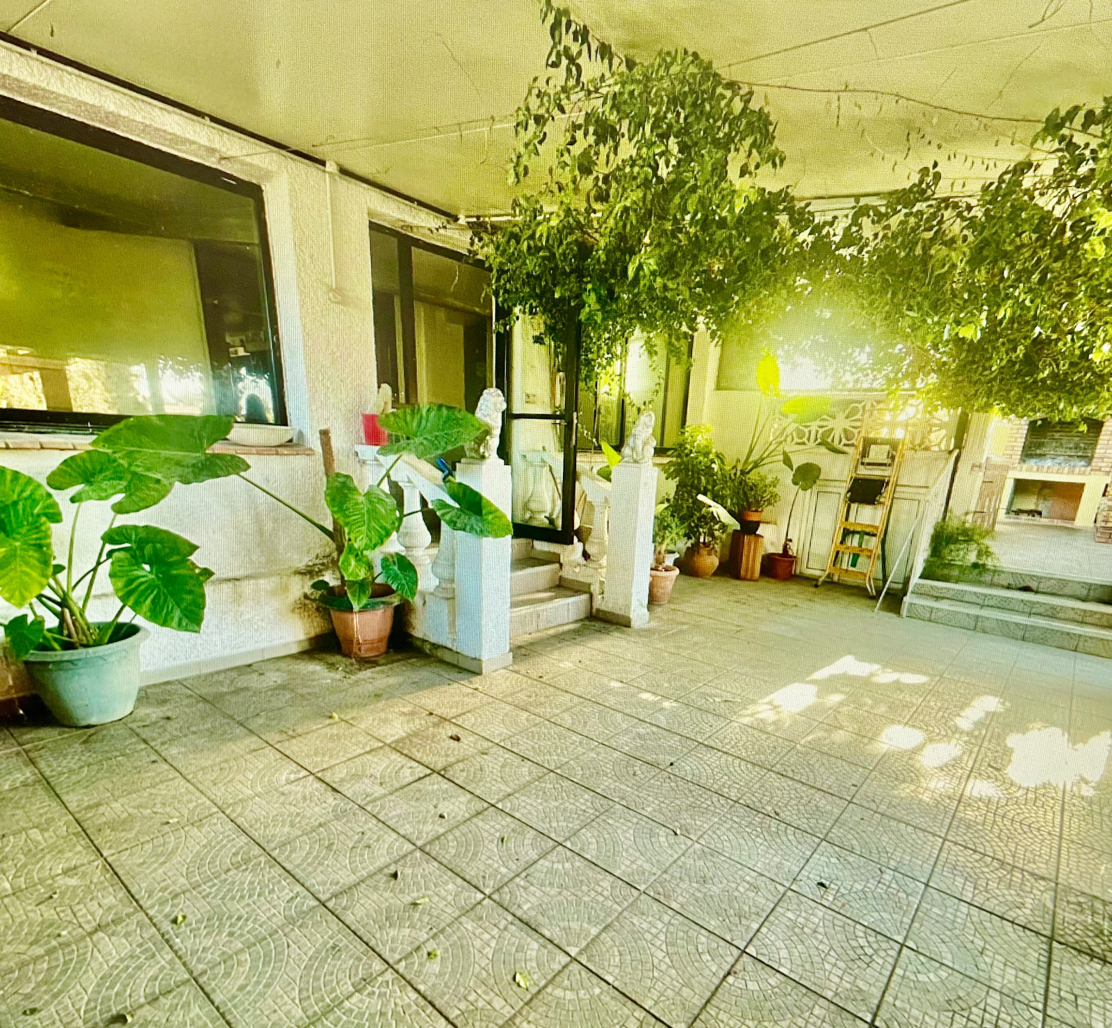 Image_, Immeuble, Vias, ref :5688