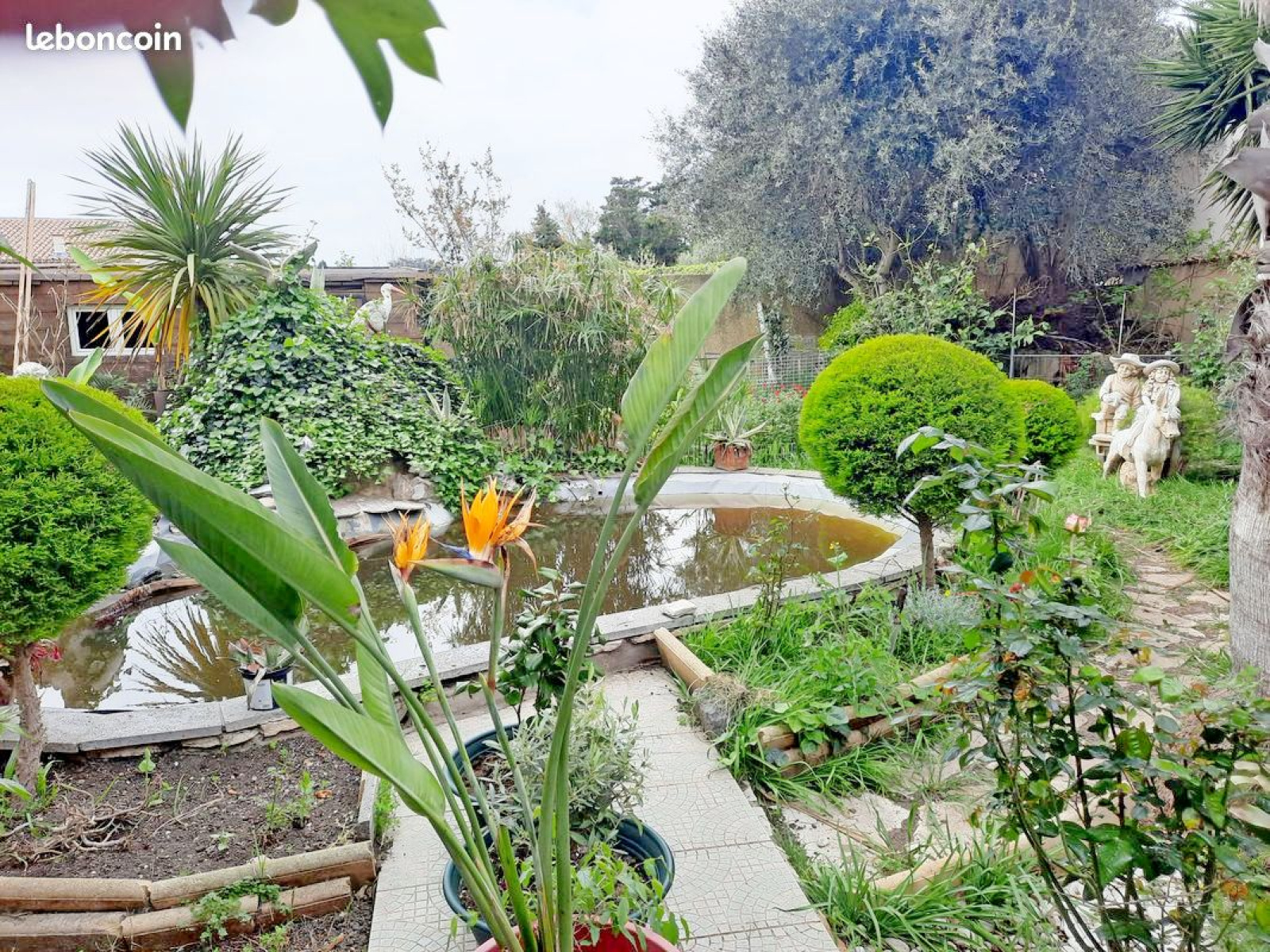 Image_, Immeuble, Vias, ref :5688