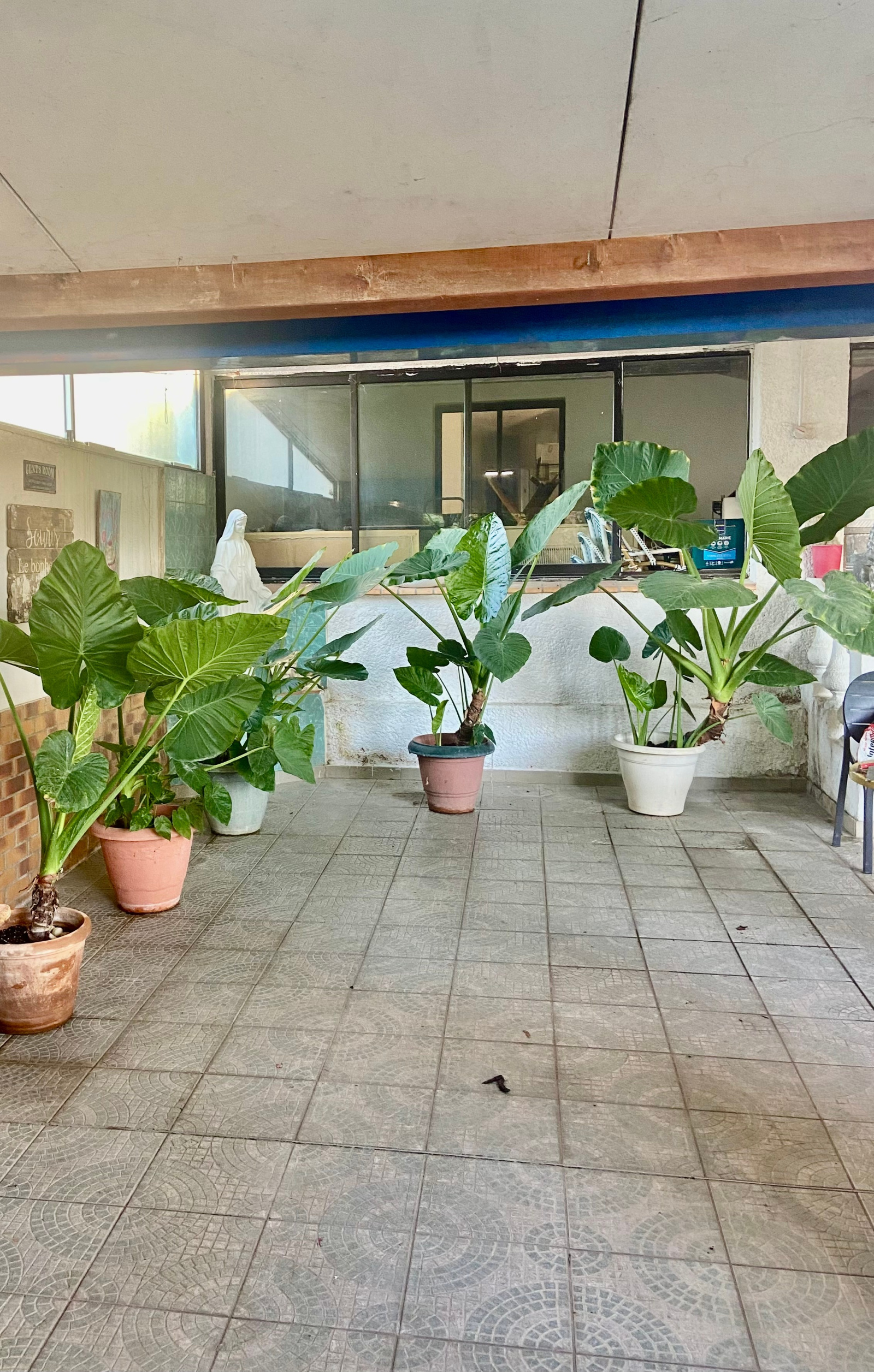 Image_, Immeuble, Vias, ref :5688