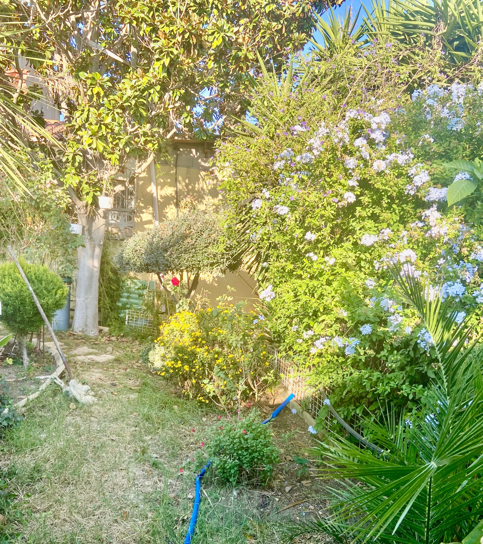 Image_, Immeuble, Vias, ref :5688