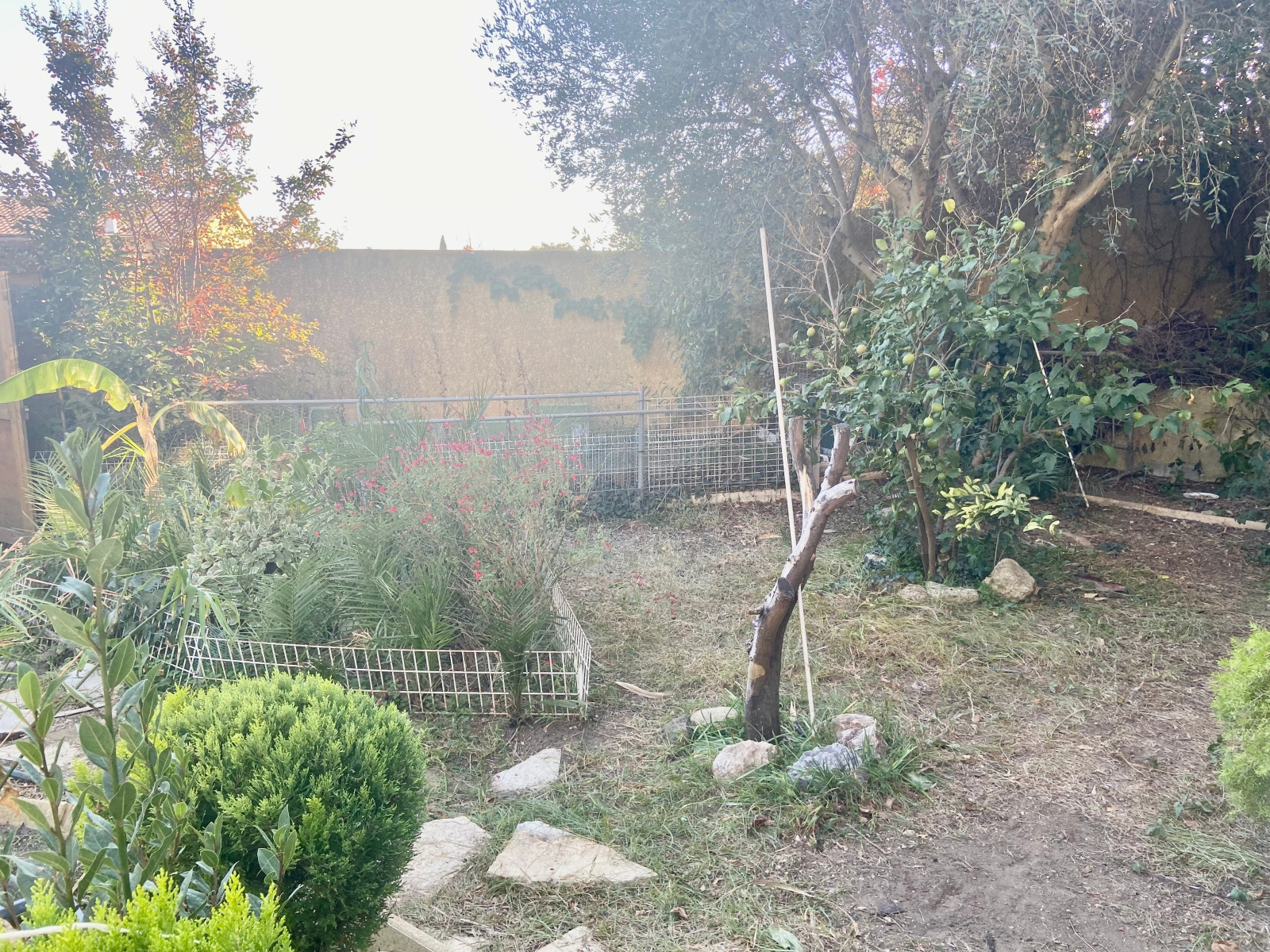 Image_, Immeuble, Vias, ref :5688