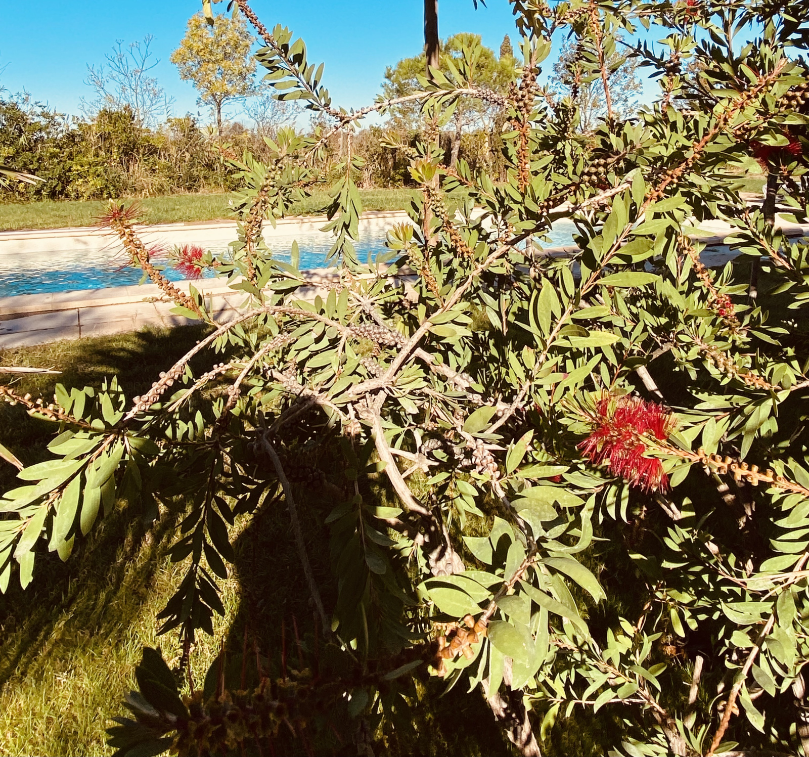 Image_, Maison / Villa, Agde, ref :V0861