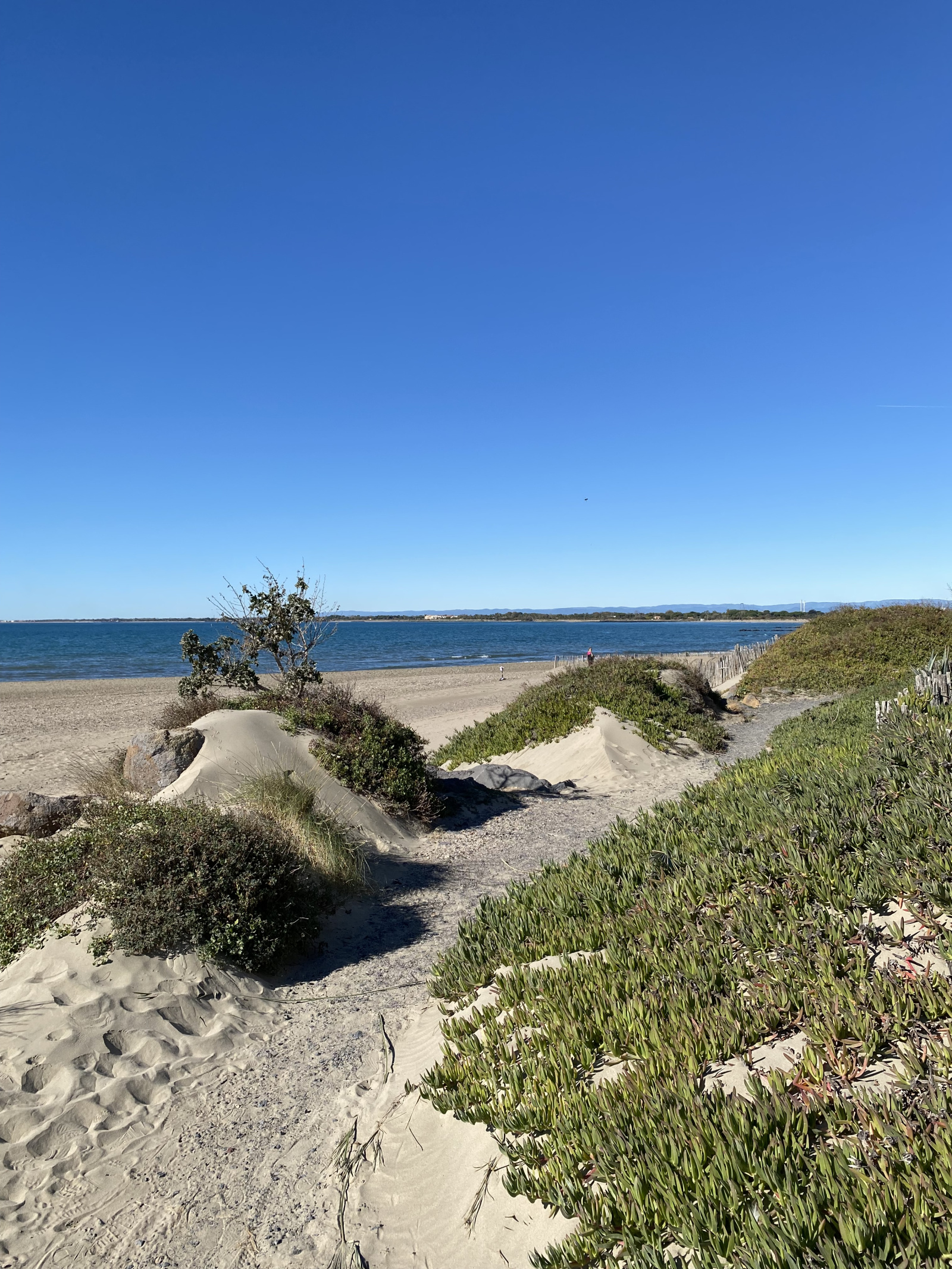 Image_, Maison / Villa, Agde, ref :V0861