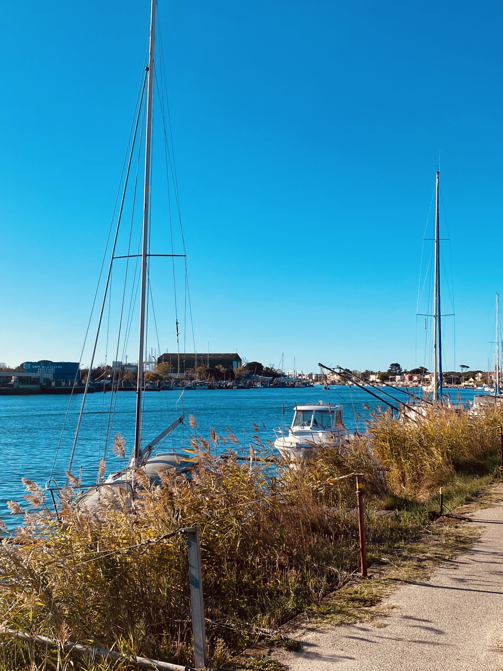 Image_, Maison / Villa, Agde, ref :V0861