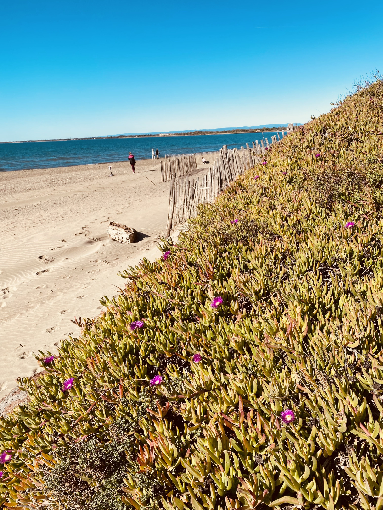 Image_, Maison / Villa, Agde, ref :V0861