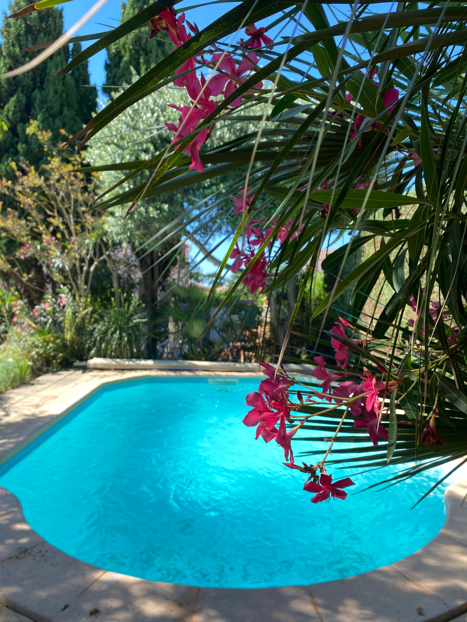 Image_, Maison / Villa, Vias Plage, ref :V0544